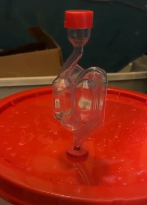 Eddy Current Sorting Machine Video